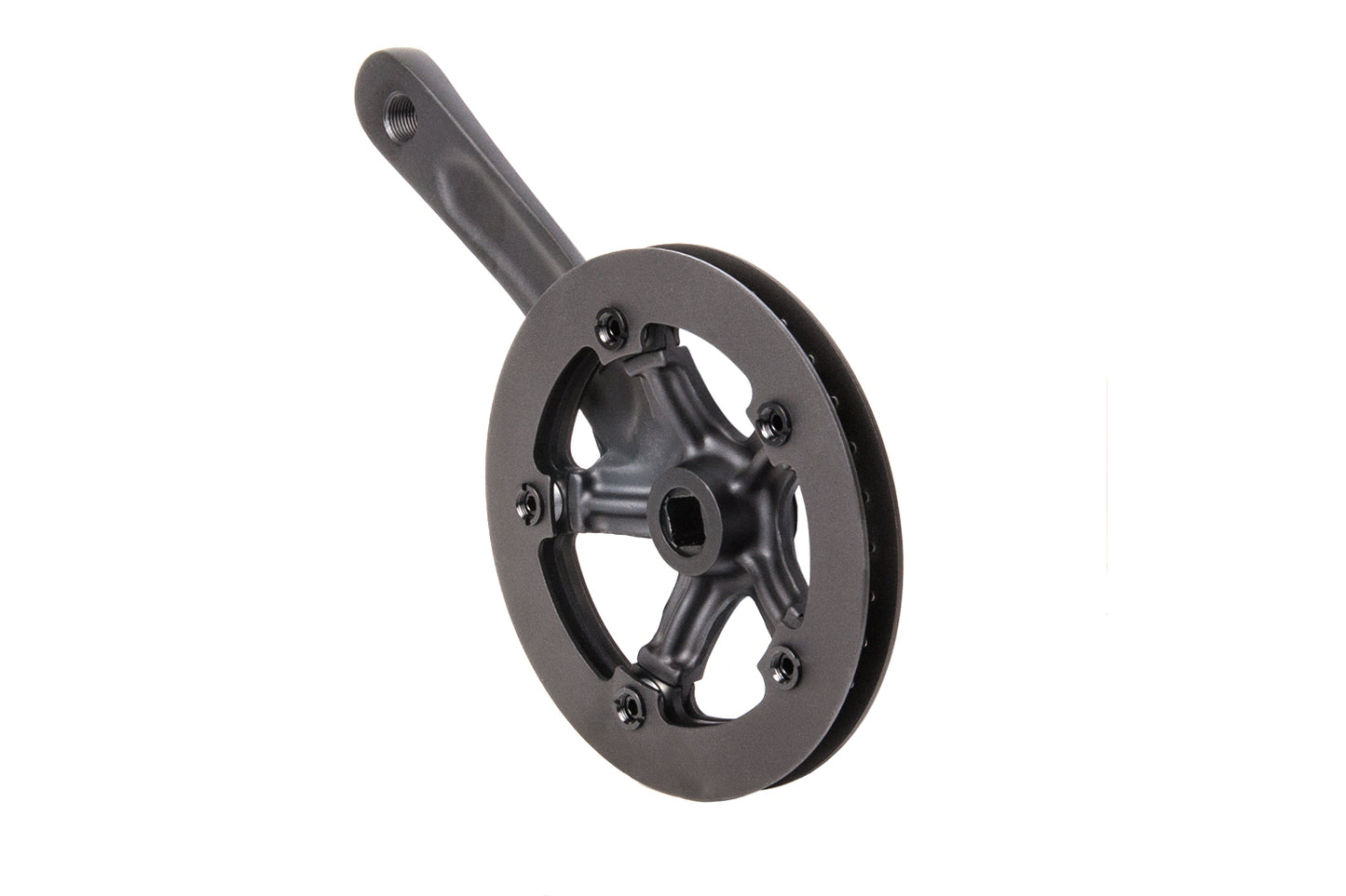 Kurbelgarnitur einfach FATRIKE Driveline DX-110-34AD 34 Zähne 170mm mit zweifachem Kettenschutzring schwarz