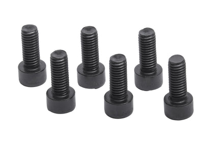 Innensechskantschrauben M8x20 mm, rostfrei, schwarz zur Befestigung des Shimano Steps Motor am Liegedreirad, Lieferumfang 6 Stück.